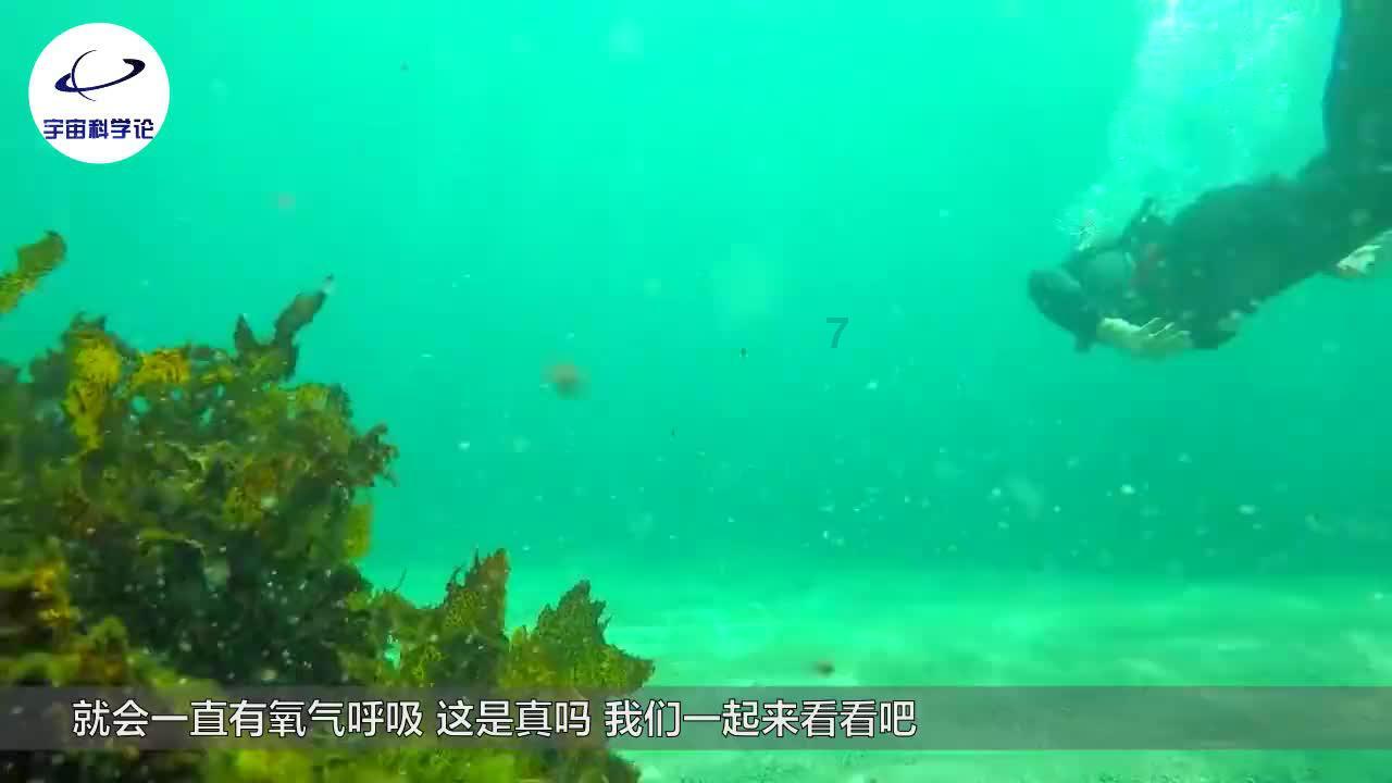 雨血：影之刃